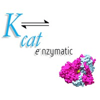 Kcat Enzymatic logo.